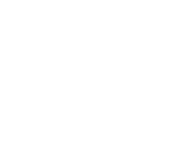 Summerhall Arts